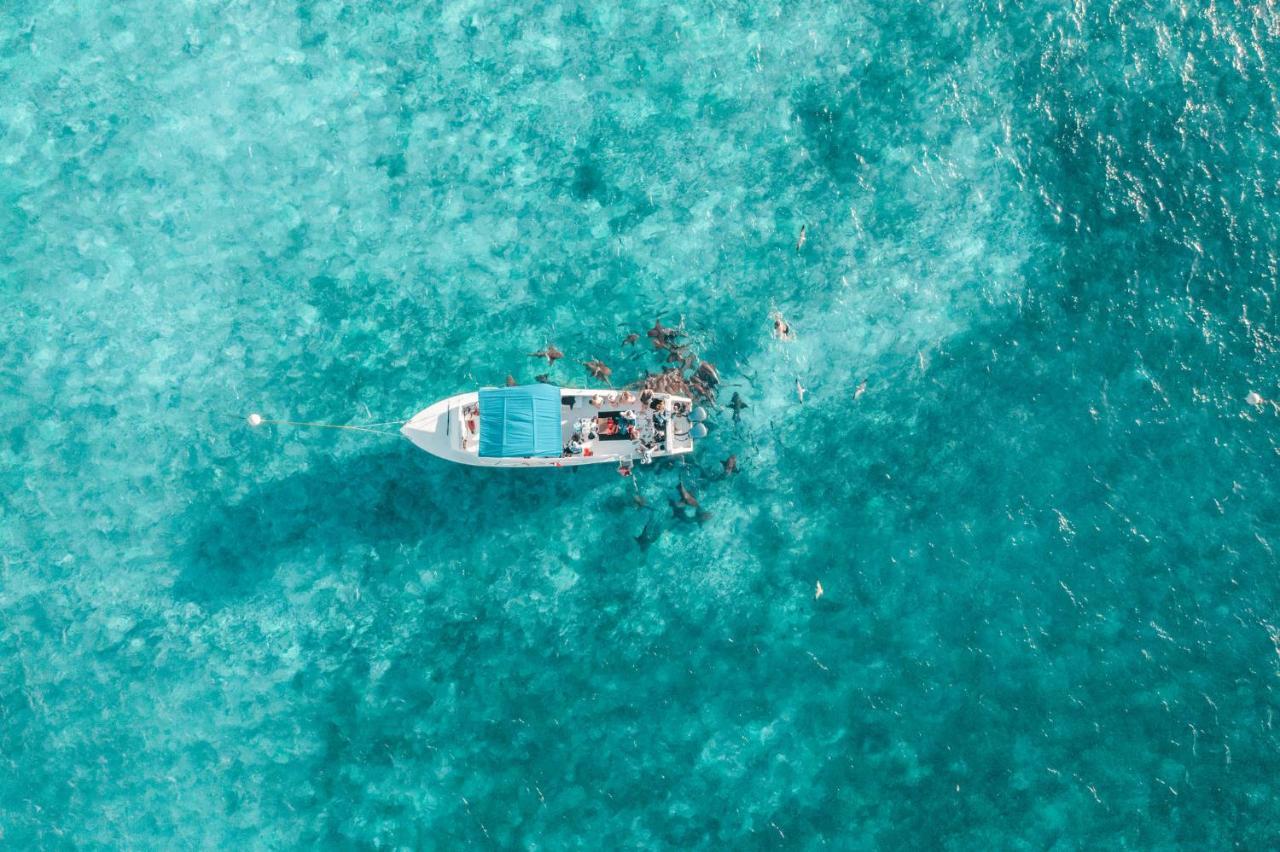 Margaritaville Beach Resort Ambergris Caye - Belize San Pedro  Luaran gambar